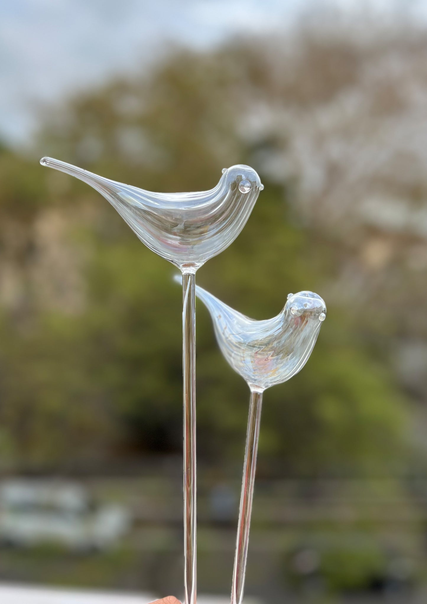Birdsong Decorative Glass Birds Set for Home and Garden Decor