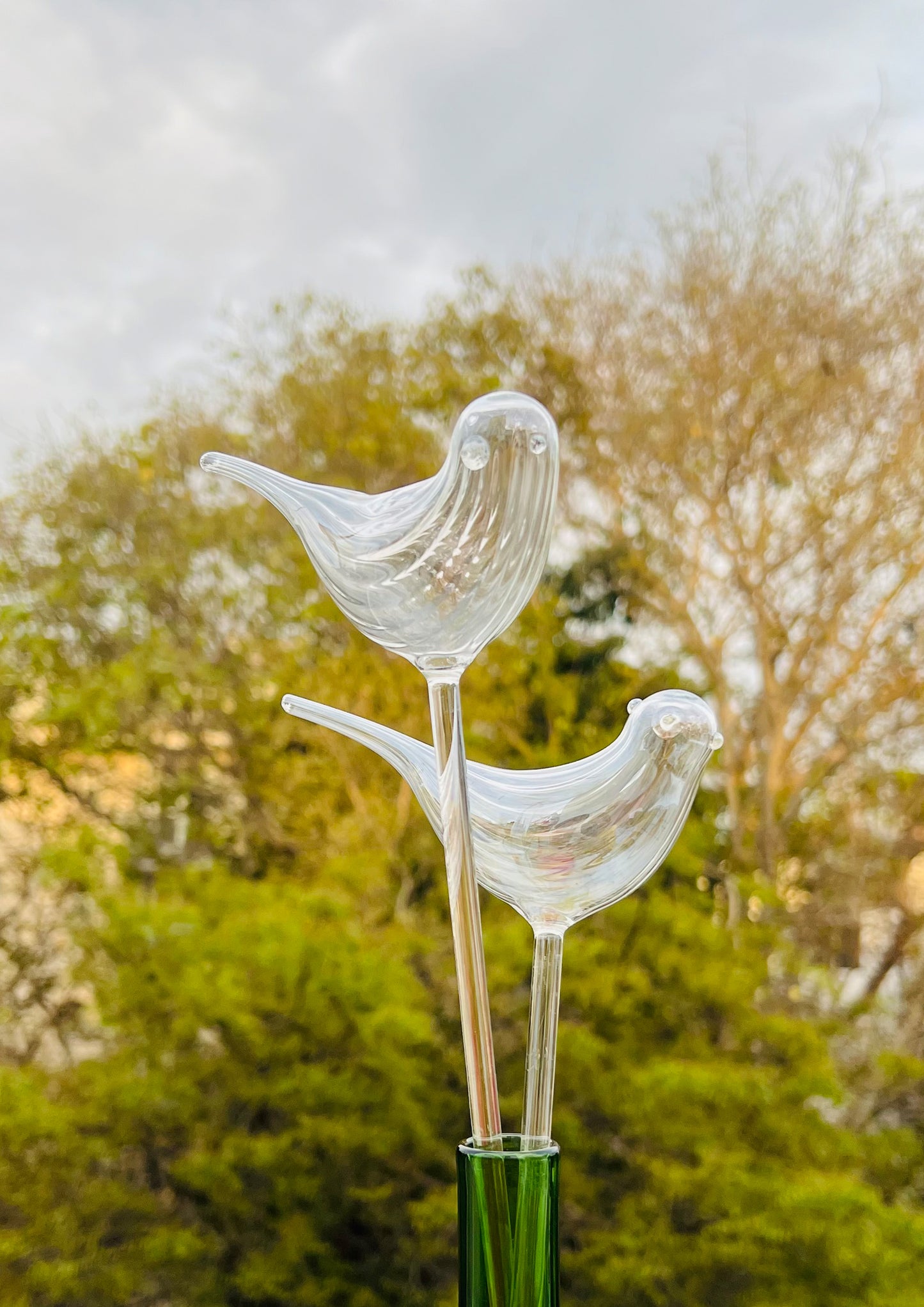 Birdsong Decorative Glass Birds Set for Home and Garden Decor