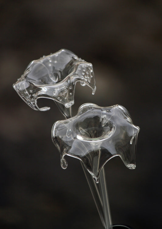 Flower Stems Glass Forest