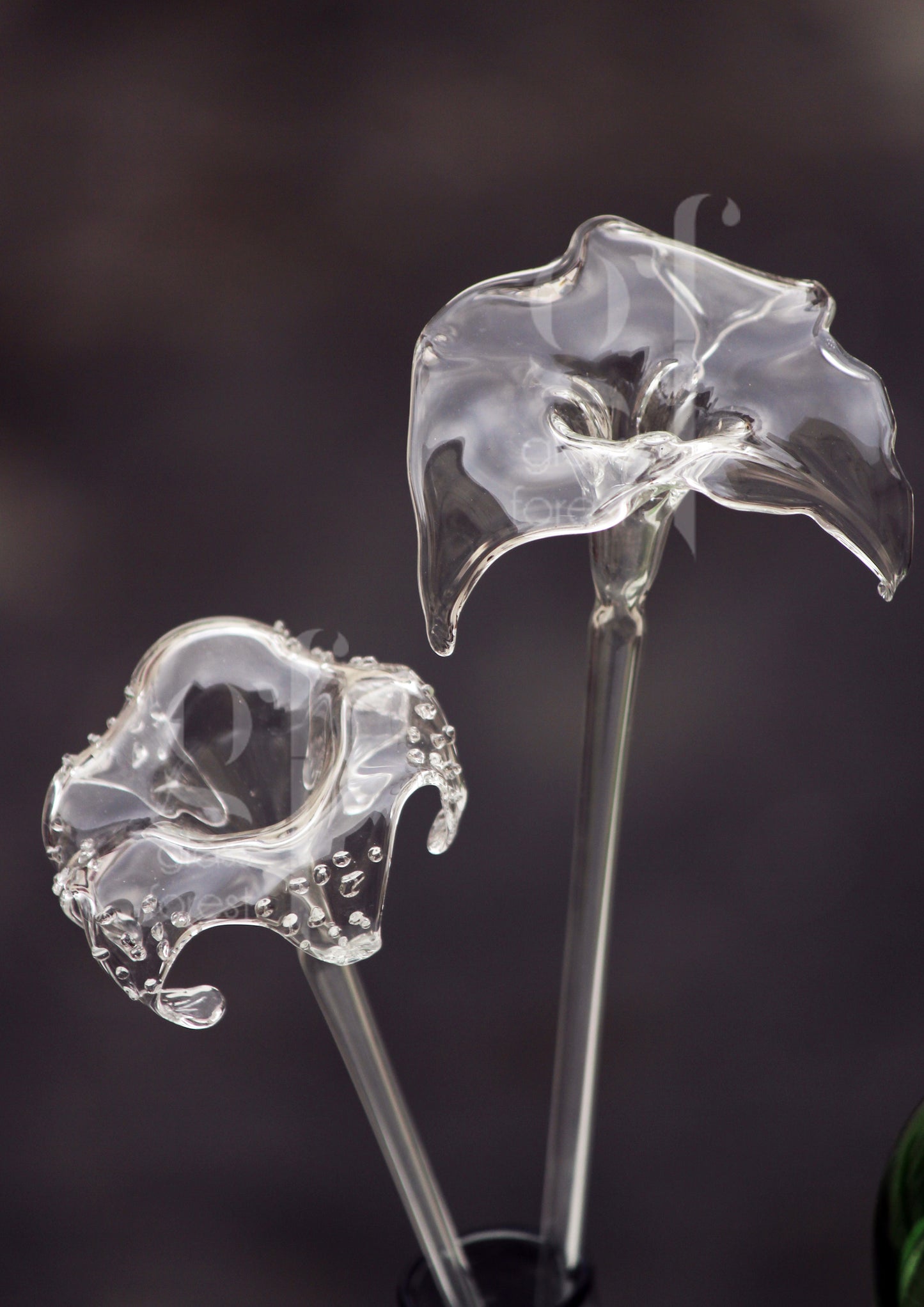 Flower Stems - Lily(s)