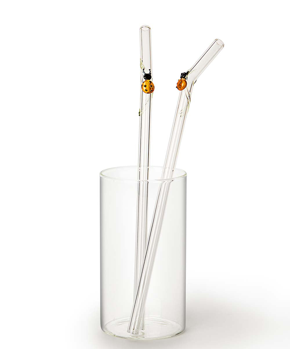 Straws ~ Quirky & Whimsical - set of 4